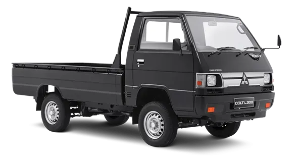 L300